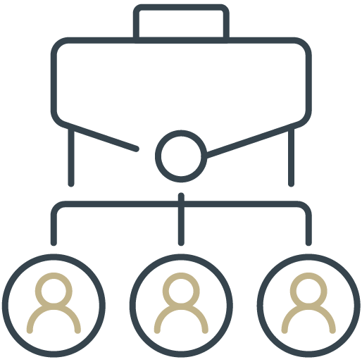 Leadership and teams structure.